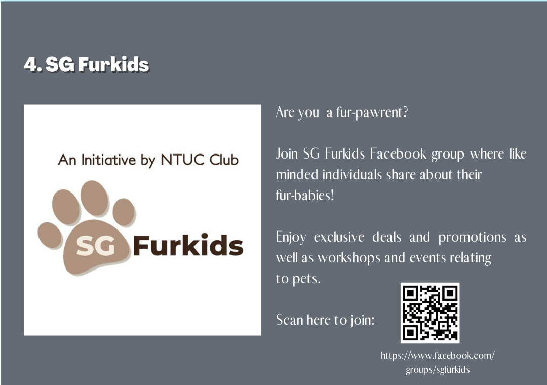 SG Furkids Facebook Group