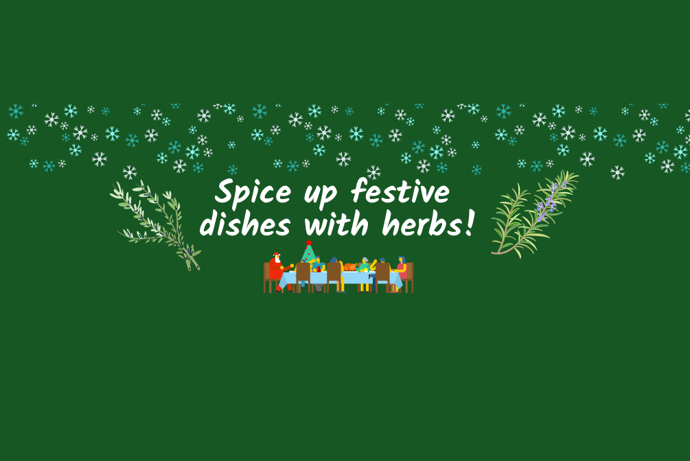 U Live eDM - Dec'21 Article - Website Banner - Spice Up Your Festive Dishes with Herbs!