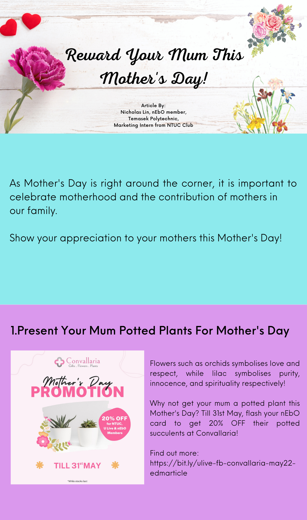 Reward Your Mum This Mother's Day - Convallaria
